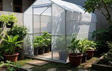 8 Ide Kebun Mini di Rumah Kaca dengan Anggaran Terjangkau, Solusi Hijau untuk Ruang Terbatas