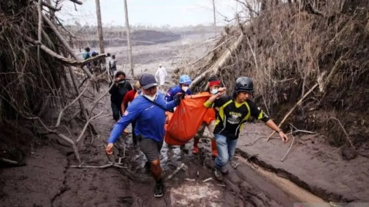 Evakuasi korban erupsi Gunung Semeru. (Istimewa)