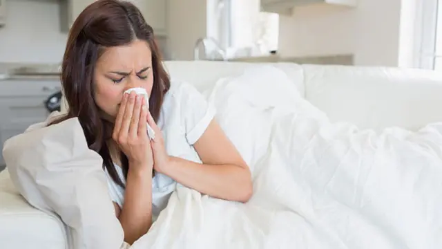 (c) shutterstock.com