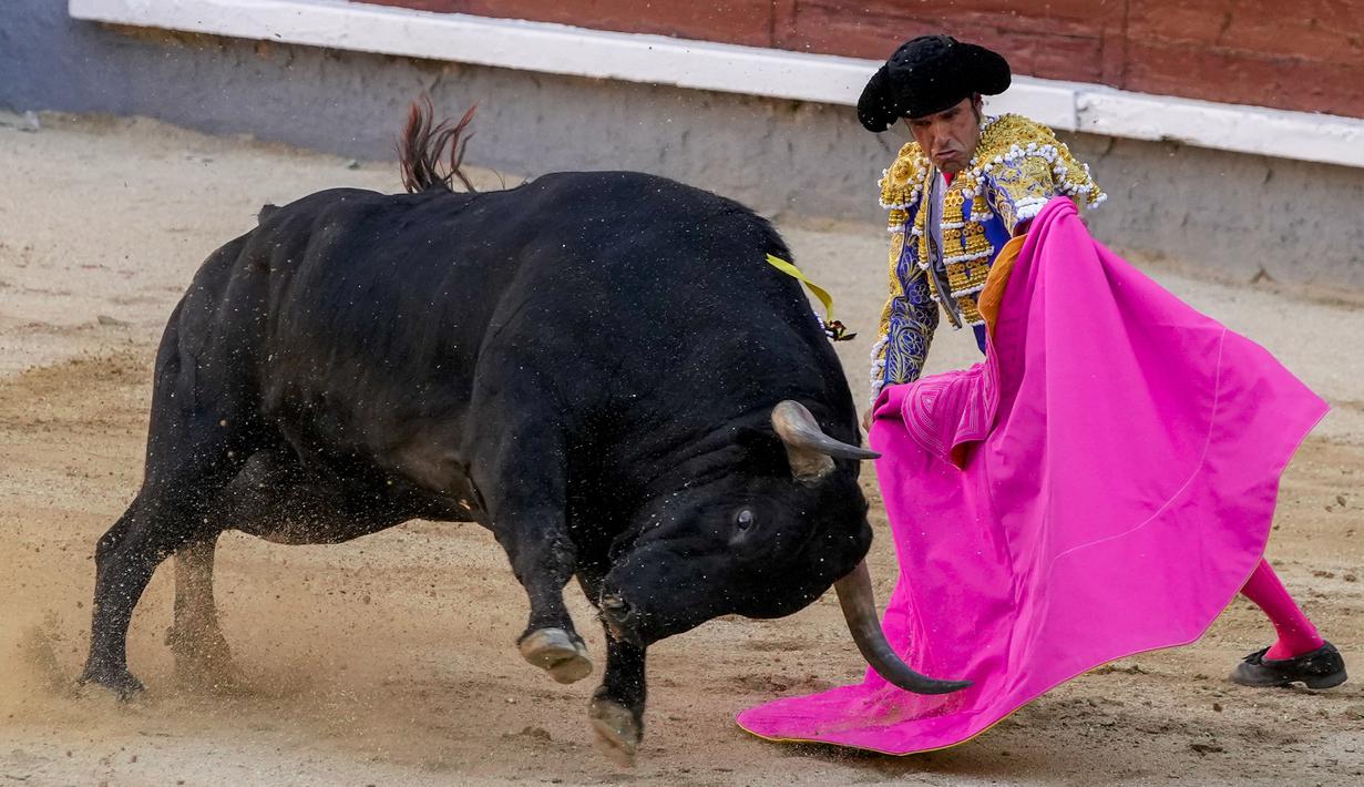Matador Emilio de Justo saat adu banteng di arena adu banteng Las Ventas, Madrid, Spanyol, Minggu (4/7/2021). Adu banteng ini berlangsung di tengah pandemi virus corona COVID-19. (AP Photo/Manu Fernandez)