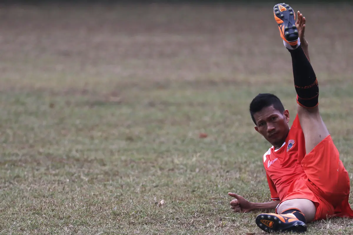 Ismed Sofyan