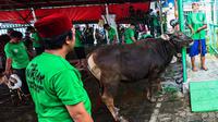Umat muslim merayakan Idul Adha 1445 Hijriah dengan melakukan pemotongan hewan kurban. (Liputan6.com/Angga Yuniar)