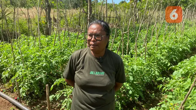 Hasil panen mama Ima ini kemudian akan ia pasarkan di pasar atau masyarakat sekitar. Harganya pun beragam, bergantung pada permintaan pasar (Liputan6.com/Teddy Tri Setio Berty).