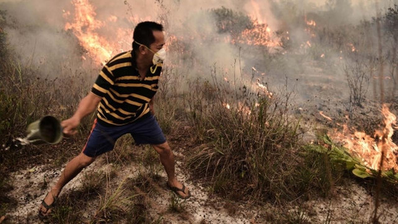 Perjuangan warga padamkan kebakaran hutan dengan alat seadanya