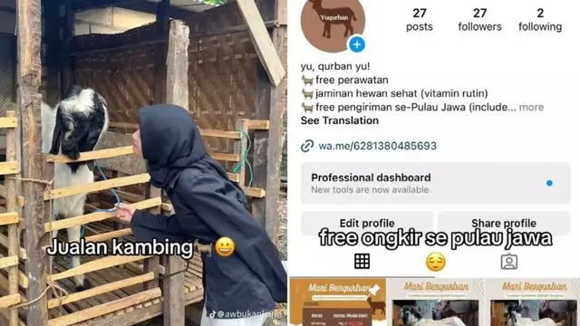 Cerita Wanita Lulusan Jurusan Kedokteran Malah Pilih Jualan Kambing.
