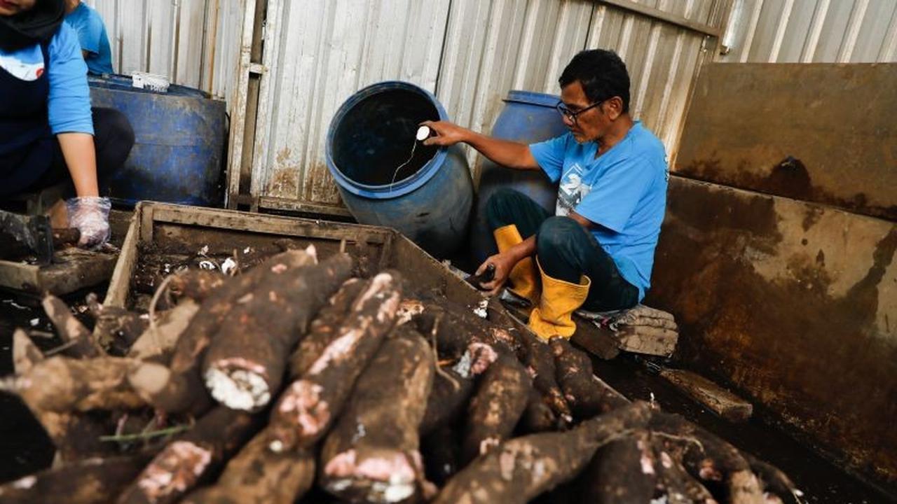 Kampung Singkong Salatiga Berharap Jadi Destinasi Wisata Unggulan, Dongkrak Ekonomi Lokal