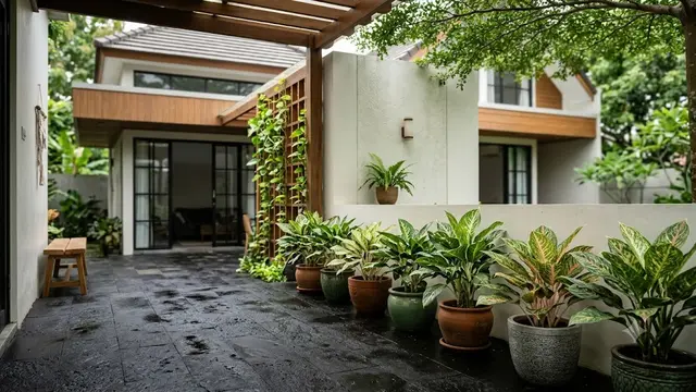 Batu Candi dan Aglonema