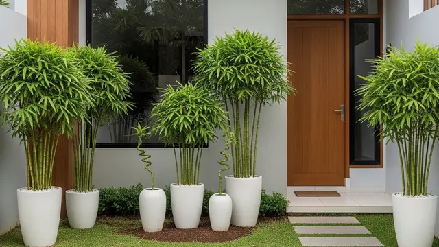13 Tanaman Hias Outdoor Pembawa Hoki Feng Shui, Hadirkan Energi Positif