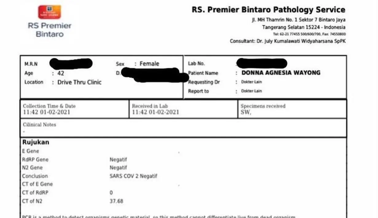 Donna Agnesia  (Instagram/dagnesia)