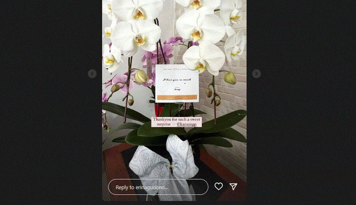 <p>sumber Instagram @erinagudono</p>
