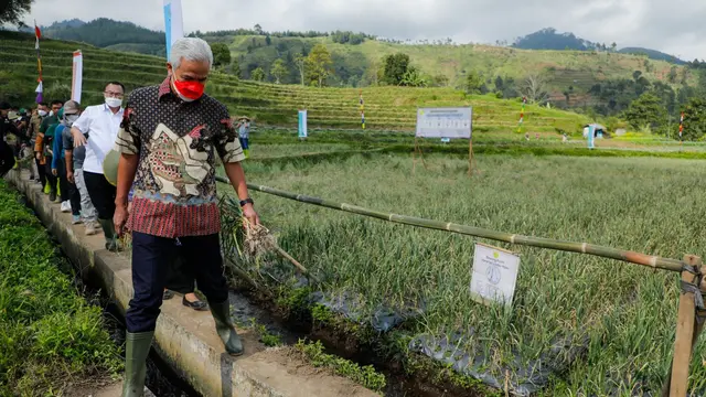 Berdasarkan pantauan BMKG, Fenomena El Nino sudah terjadi di wilayah Jateng. Fenomena ini ditandai dengan cuaca kemarau dan turunnya curah hujan (Istimewa)