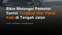 Bikin Melongo! Pemotor Santai Tangkap Ular Pakai Kaki di Tengah Jalan