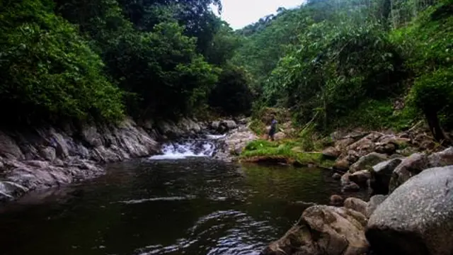 Salam Pagi