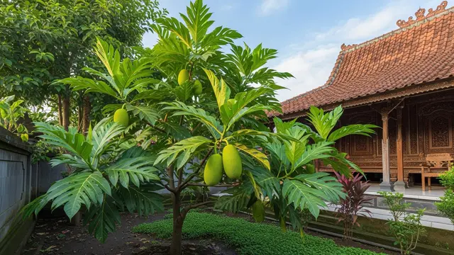 Pohon Buah yang Cocok untuk Halaman yang Sering Kebanjiran