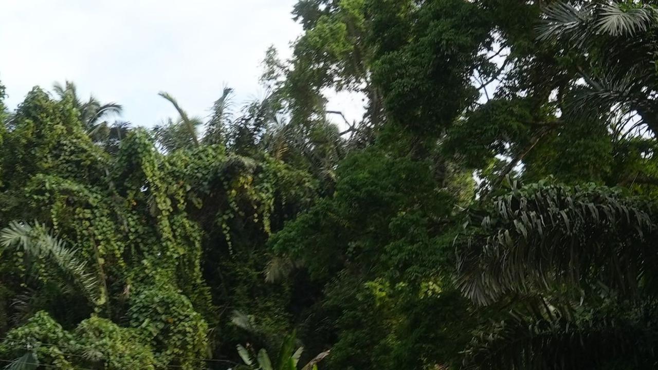 Terios 7 Wonders: Viralkan Pesona Alam dan Budaya di Ternate dan Halmahera