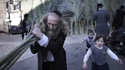 Seorang pria Yahudi Ultra-Ortodoks membawa daun pohon palem yang akan digunakan untuk ritual Sukkot di Yerusalem (1/10). Hari raya Sukkot dirayakan antara bulan September dan Oktober, tepatnya 15 Tsiyri menurut kalender Yahudi. (AFP Photo/Manahem Kahana)