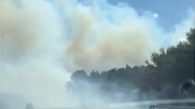Asap dari empat kebakaran hutan di Long Island, New York, AS. (AP)