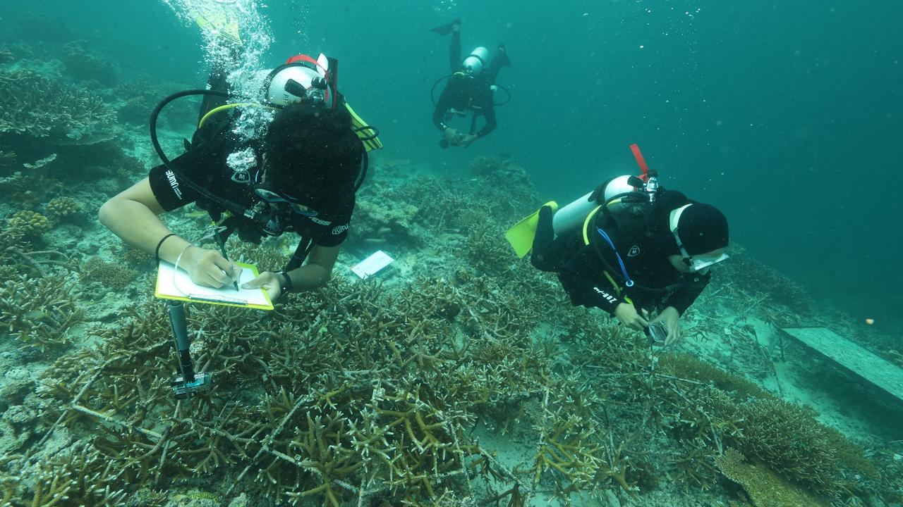 BRI Menanam Grow & Green di Pulau Maratua, Kabupaten Berau, Provinsi Kalimantan Timur