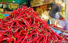 Harga Cabai Merah di Aceh Barat Meroket 150 Persen, Capai Rp90 Ribu/Kg! Apa Penyebabnya?