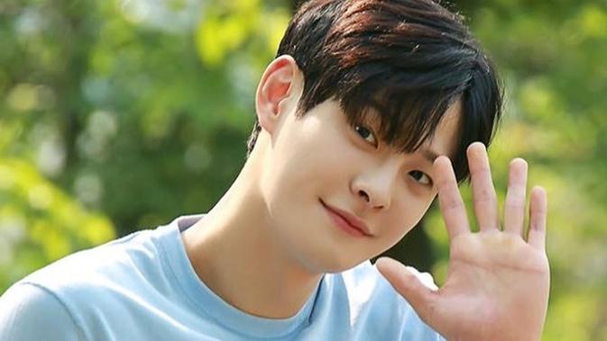 Aktor Tampan Korea Cha In-ha Ditemukan Meninggal Dunia ...