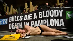 Aktivis yang bertelanjang dada berbaring di jalan saat menggelar protes terhadap adu banteng di Pamplona, Spanyol, Jumat (5/7/2019). Aksi protes ini digelar sehari sebelum pembukaan Festival San Fermin. (AP Photo/Alvaro Barrientos)