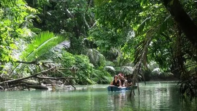 [Bintang] Rasakan Nuansa Khas Amazon yang Misterius di Cigenter