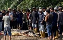 Kronologi Pemancing Diterkam Buaya Muara Besar di Rokan Hilir, Bagian Tubuhnya Sudah Tak Utuh