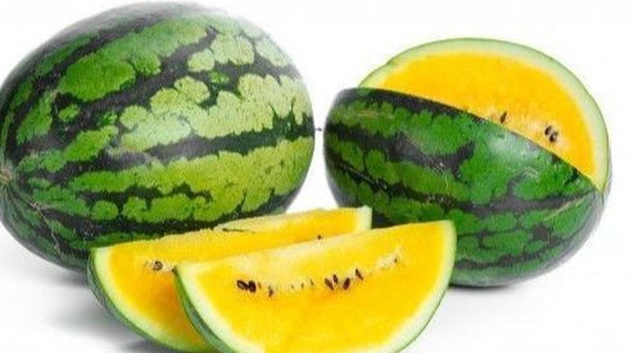 Manfaat Buah Semangka