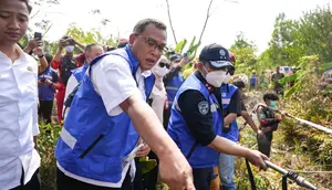 Menteri LH Singgung Kebakaran Lahan Konsesi Kosong, Ada Dugaan Kesengajaan