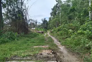 Taman Nasional Rawa Aopa Watumaohai Konawe Selatan (Liputan6.com/Ahmad Akbar Fua)