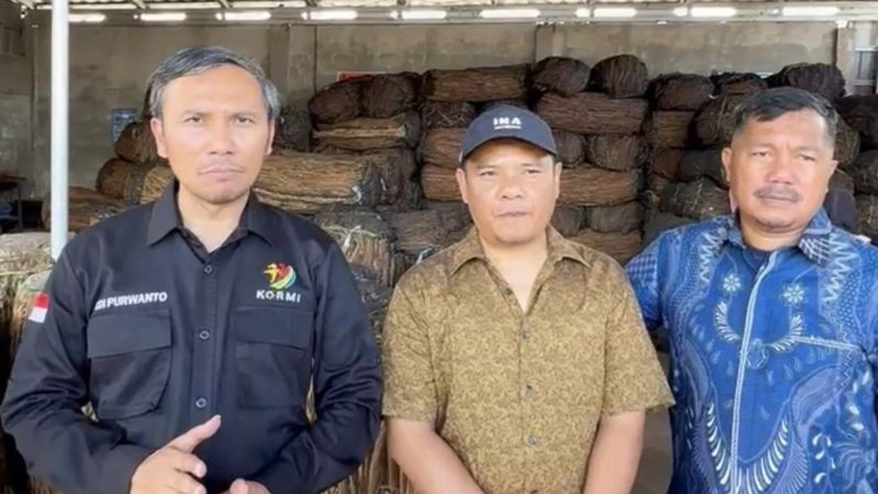 Legislator Dorong Kayu Manis dan Pinang Jambi Jadi Komoditas Strategis Nasional
