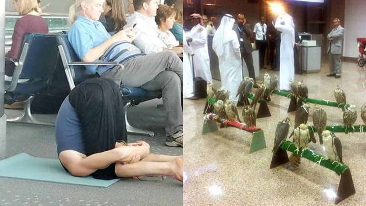 Ada yang Kemah, Ini 7 Aksi Nyeleneh Calon Penumpang di Bandara