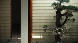 Dapur Keisya juga didominasi oleh elemen kayu, membuatnya terlihat sederhana namun tetap elegan dan nyaman. Kesan natural dan hangat benar-benar terasa di setiap sudut rumahnya. Bisa dibayangkan betapa menyenangkannya memasak di dapur yang sejuk dan menenangkan seperti ini. (Liputan6.com/IG/@keisyalevronka)