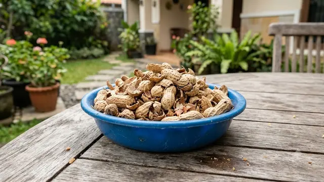 Kulit Kacang