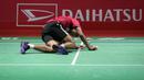 Pebulutangkis tunggal putra Indonesia, Chico Aura Dwi Wardoyo berusaha bangkit setelah terkena backhand smash dari pebulutangkis tunggal putra Indonesia, Jonatan Chirstie pada laga final Indonesia Masters 2023 yang berlangsung di Istora Senayan, Jakarta, Minggu (29/01/2023). Chico kalah dari Jonatan Christie dengan skor 15-21 dan 13-21. (Bola.com/Bagaskara Lazuardi)