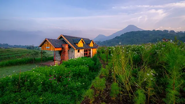 Rustic Market Valley View