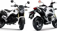 Honda Siapkan Motor Mini Street Xtreme Ala Ducati!