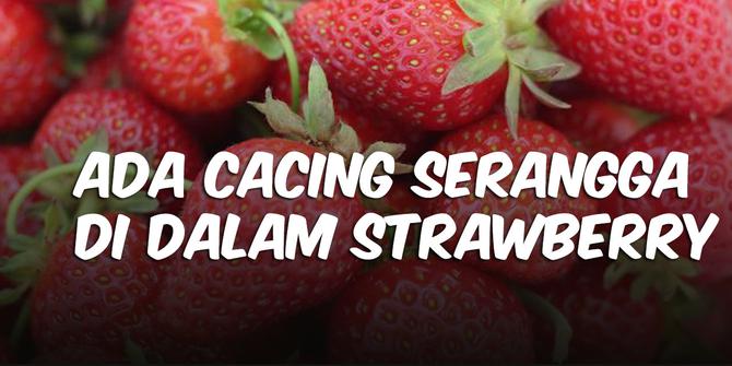 VIDEO CEK FAKTA: Ada Cacing Serangga di Dalam Strawberry