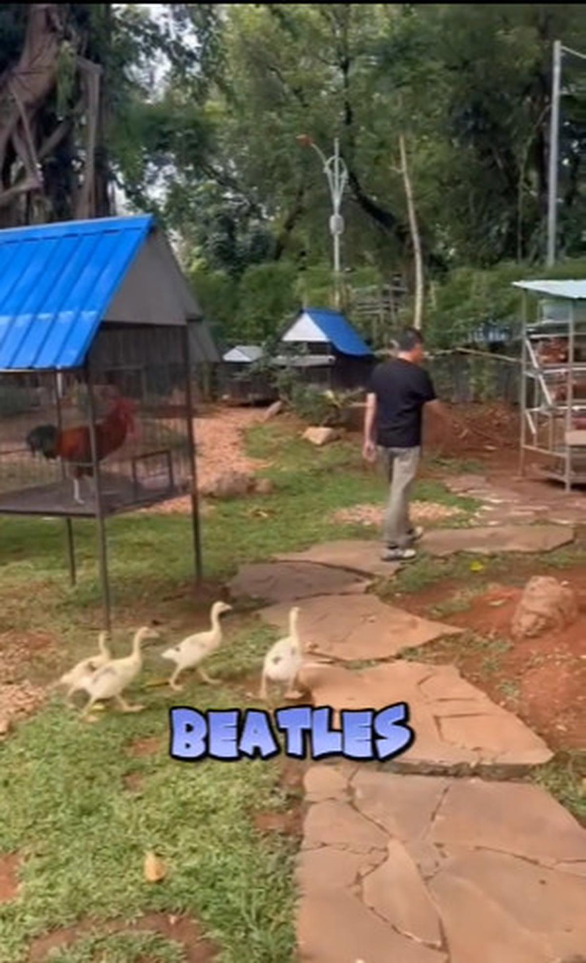 Panglima TNI Kehadiran 'The Beatles' di Rumahnya