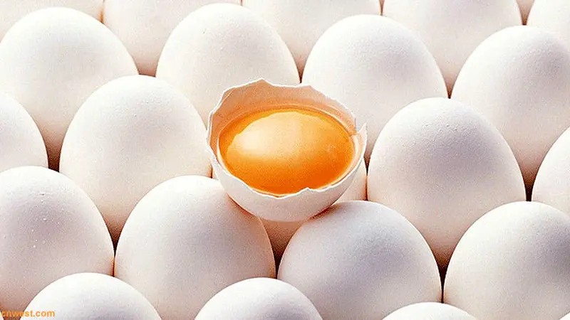 kuning-telur-121210c.jpg