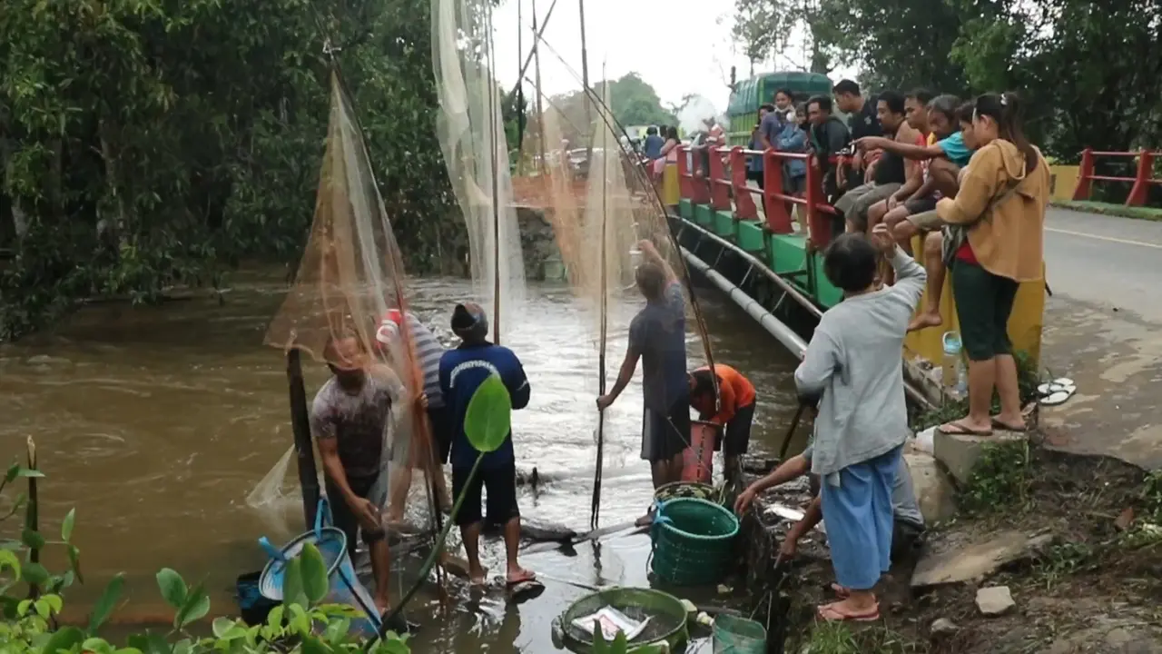 Pencari Ikan Dadakan