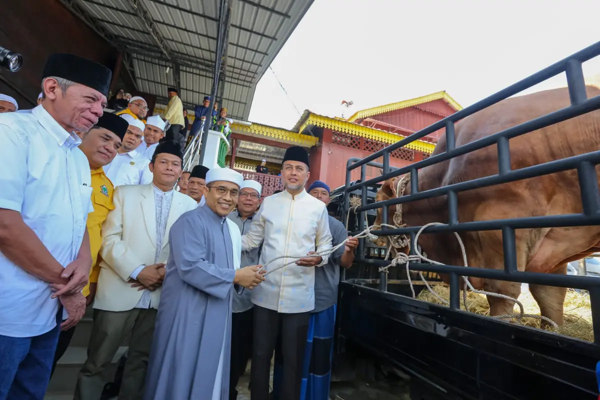 Wagub Sumut, Musa Rajekshah