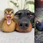 Potret Persahabatan Lintas Hewan Ini Menggemaskan, Bikin Senyum (Sumber: Instagram/loulouminidachshund, vet_lapaz)