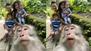 Titi Kamal dan Christian Sugiono mengajak dua buah hatinya menghabiskan liburan di Bali. Pasangan yang menikah pada tahun 2009 itu mencoba pengalaman berselfie dengan monyet. Lucunya, foto tersebut justru gagal estetik, karena membuat Titi Kamal dan keluarga jadi blur. (Liputan6.com/IG/@titi_kamall)