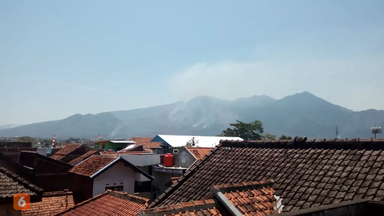 Gunung Guntur terbakar