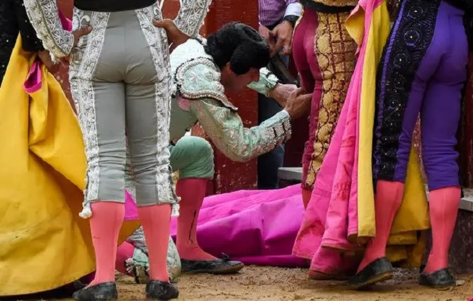 Matador Spanyol, Julian Lopez (celana merah) tengah diperiksa usai ditanduk banteng di Bogota, Kolombia (18/2/2018) (AFP PHOTO)