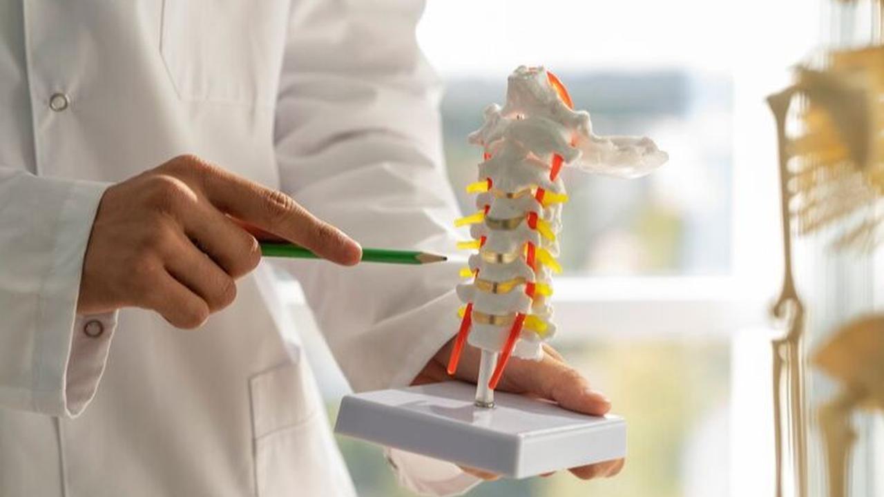 <b>Penyebab Osteoporosis</b>