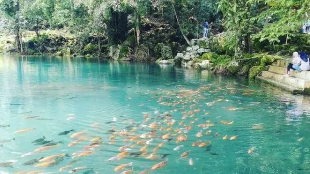 15 Wisata Kuningan Jawa Barat Terpopuler, Pesona Alam yang Memikat!