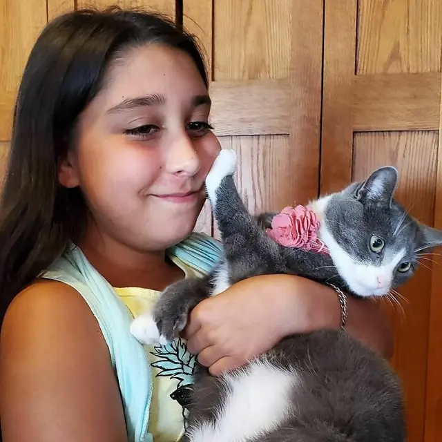 Tak Mau Dipeluk dan Dicium, 10 Ekspresi Kucing Ini Tampak Kocak
