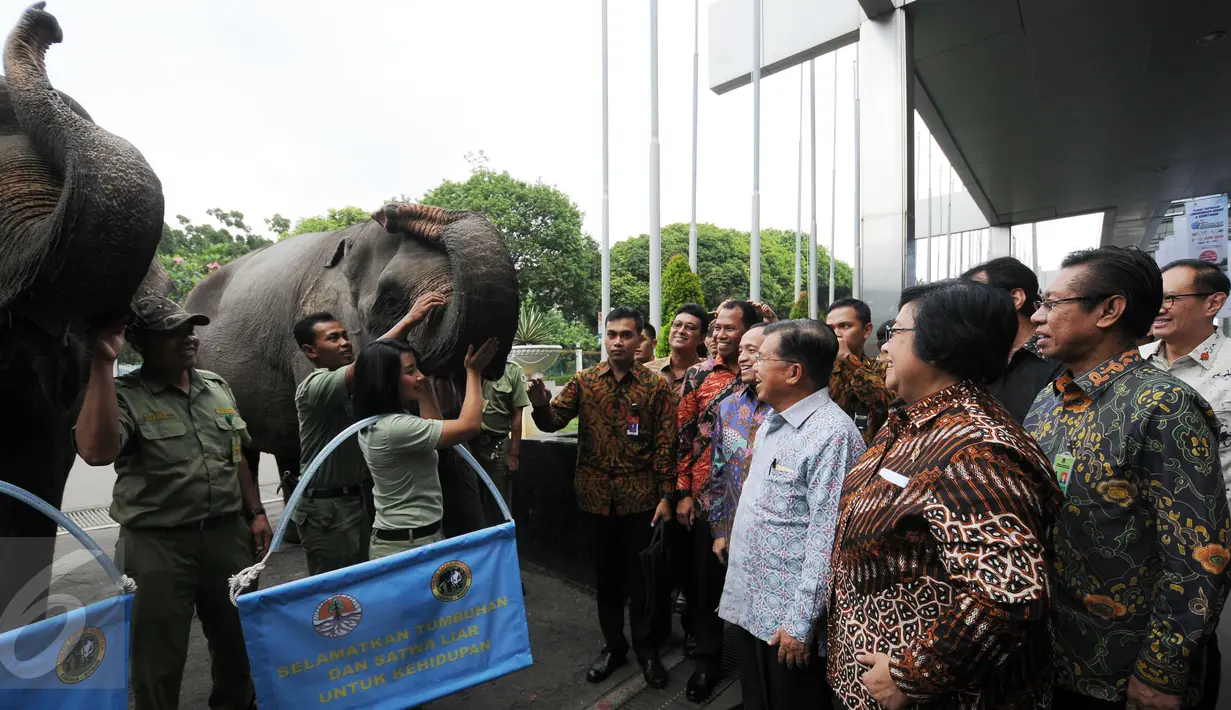 Wakil Presiden Jusuf Kalla (ketiga kanan) disambut dua ekor gajah jelang membuka Pekan Lingkungan Hidup Kehutanan 2016 di Jakarta, Kamis (9/6/2016). Pekan Lingkungan Hidup Kehutanan 2016 berlangsung hingga 12 Juni. (Liputan6.com/Helmi Fithriansyah)